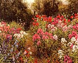 A Flower Garden